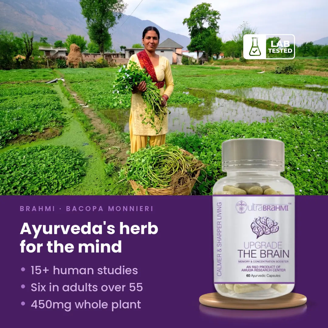 Ultra Brahmi ®  | (Bacopa Monnieri)